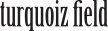 터콰이즈필드
